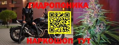 марки nbome Гай